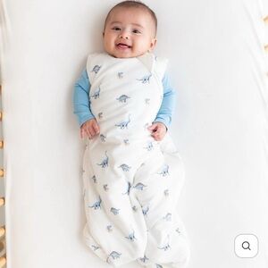 Kyte BABY Dinosaur Print Sleep Sack - Cream and Blue